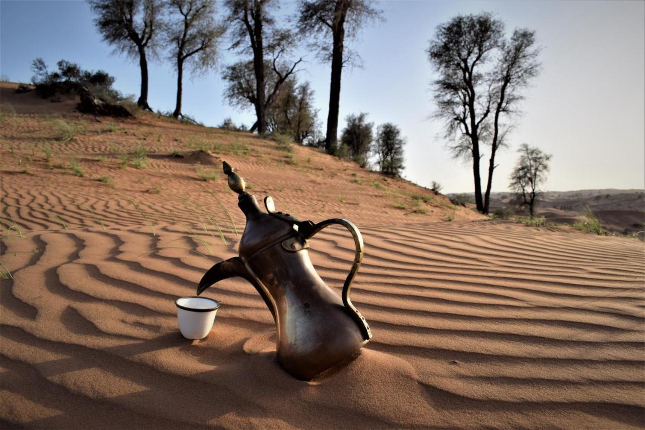 Bedouin Oasis Desert Camp- Ras Al Khaimah 外观 照片